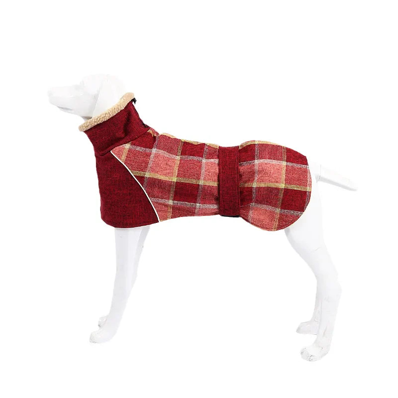 Cozy Coat
