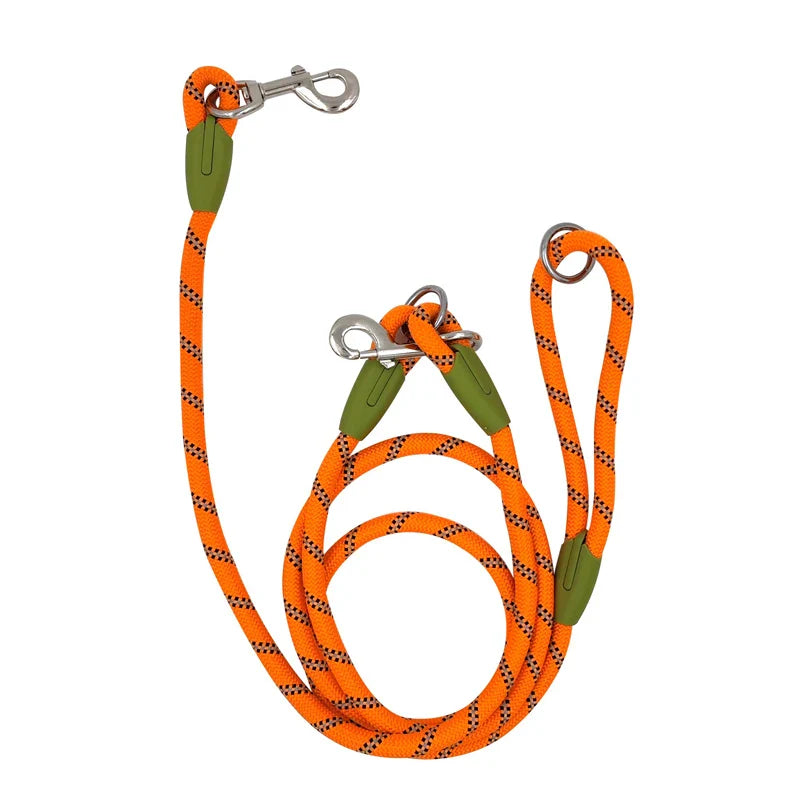 Shine & Stride Leashes