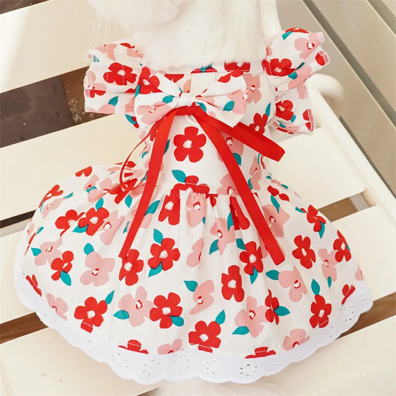 Sweet Dress