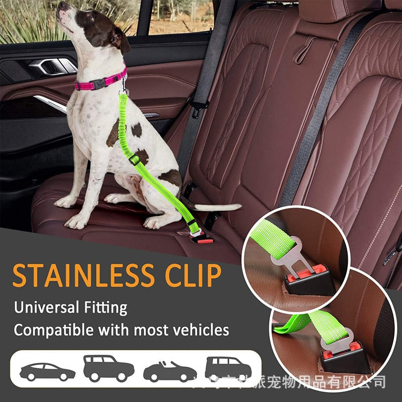 Car Seat Belt