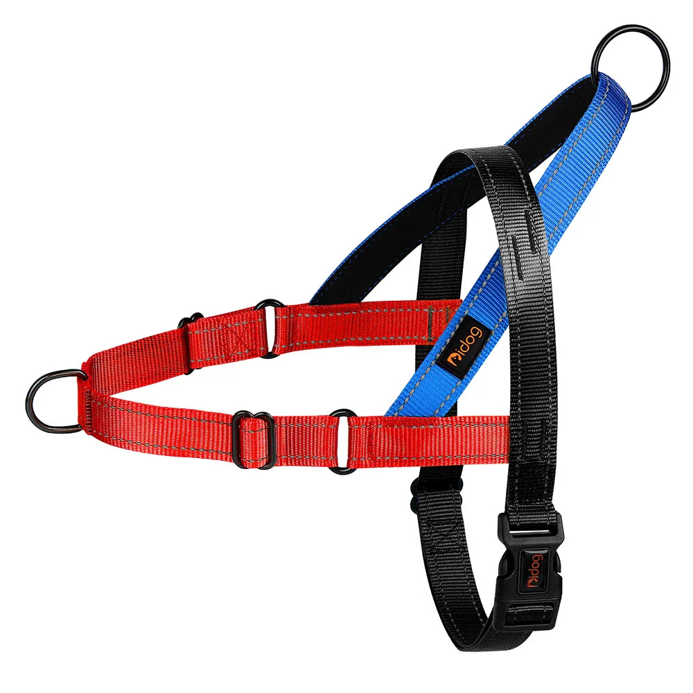 Walk Wise