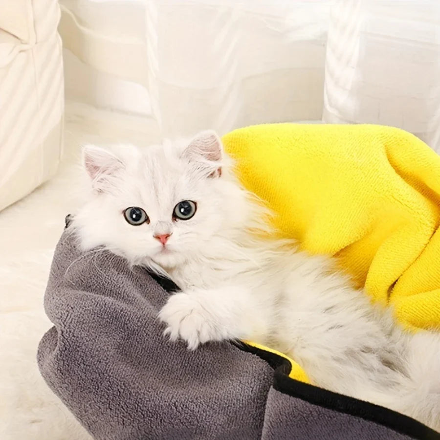 Towel Tale