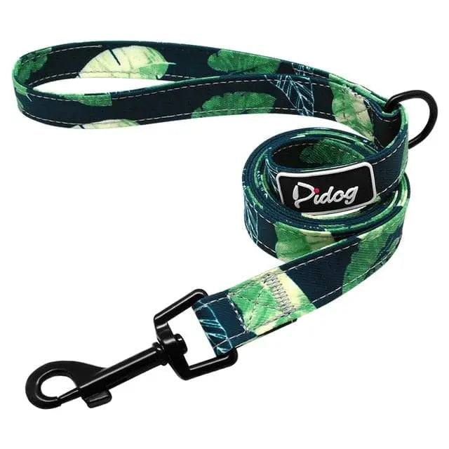 Clifford Leash