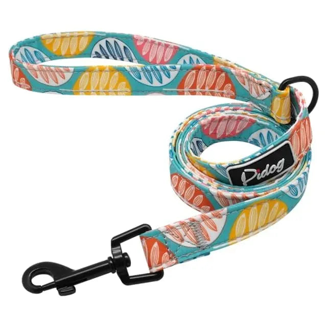 Clifford Leash