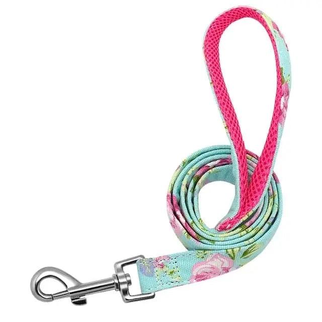 Clifford Leash