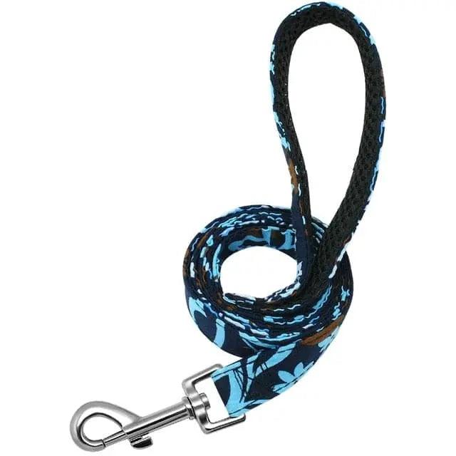 Clifford Leash