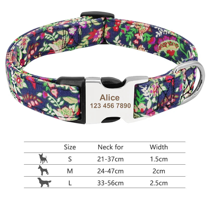 Buckle Personalized Collars