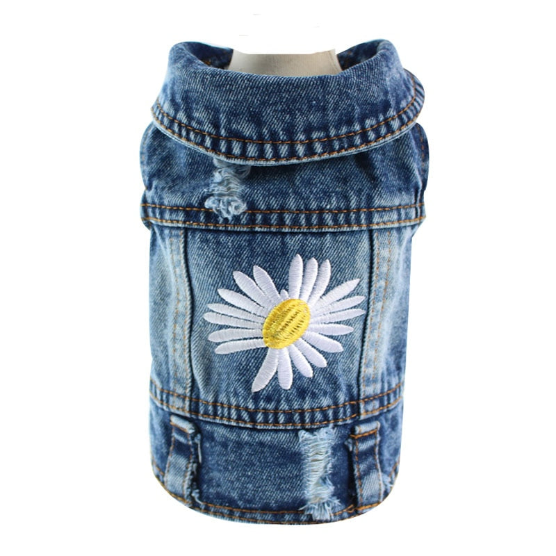 Denim Clothes