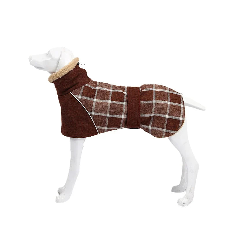 Cozy Coat
