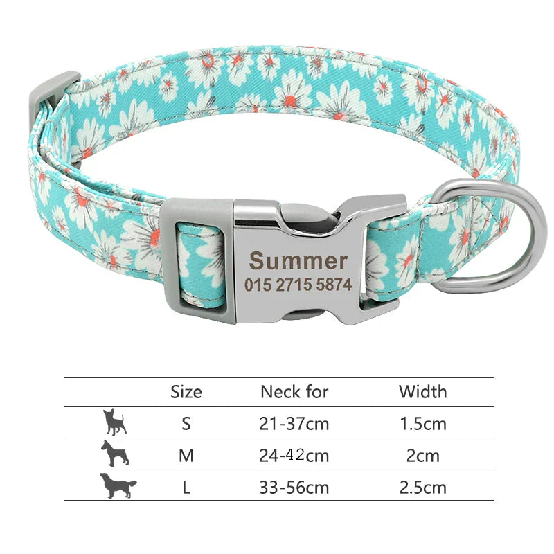 Buckle Personalized Collars