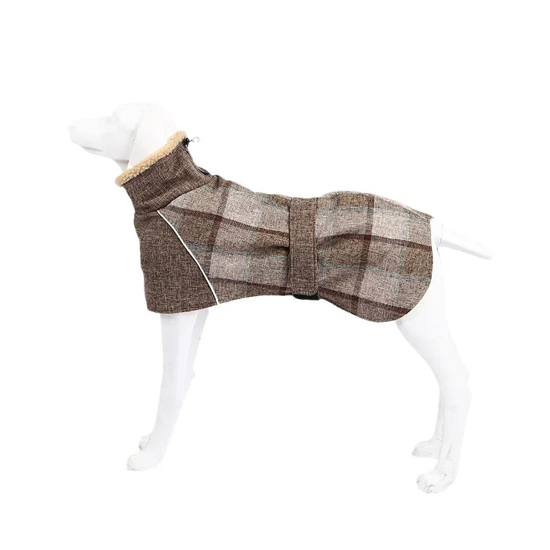 Cozy Coat