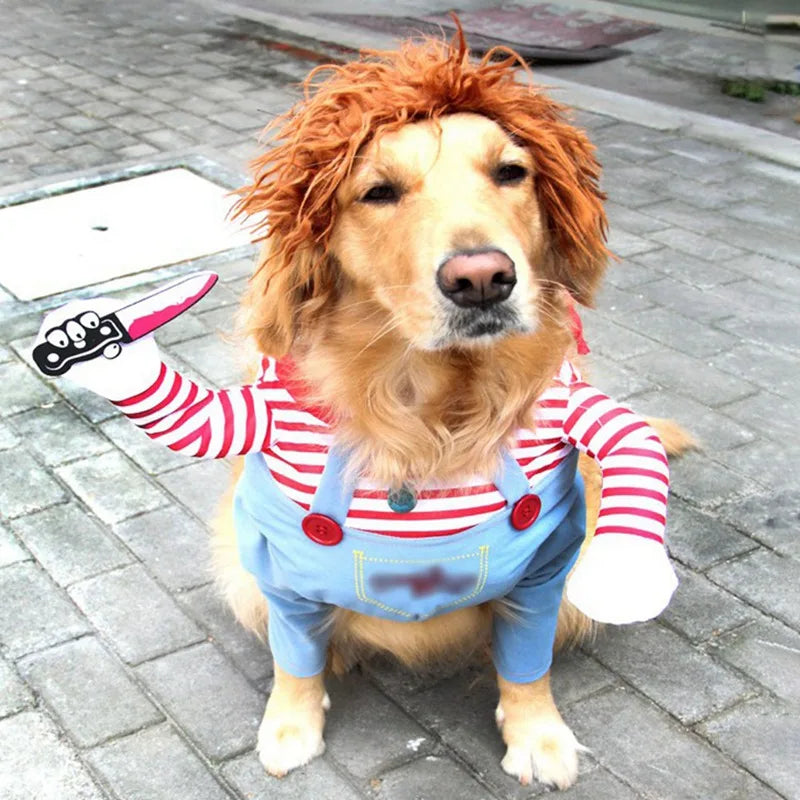 Chucky the Puppy