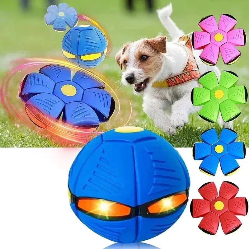 Zoomie Zinger Ball