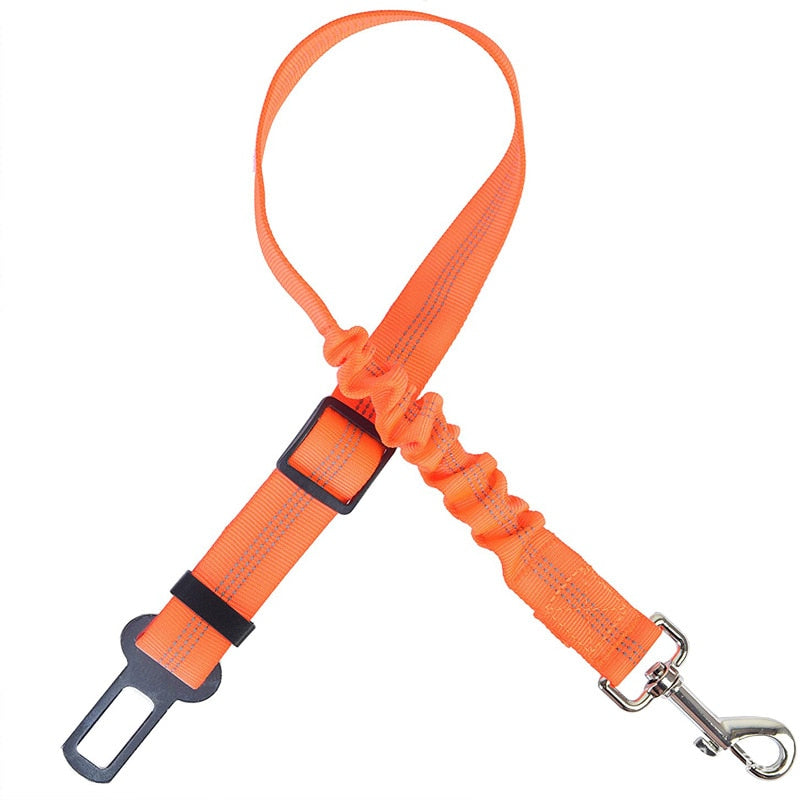 Car Seat Belt