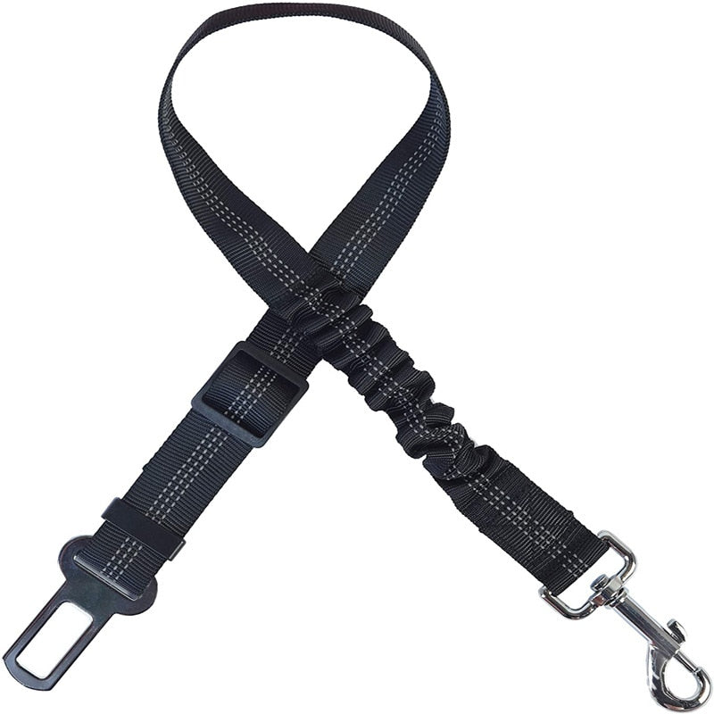 Car Seat Belt