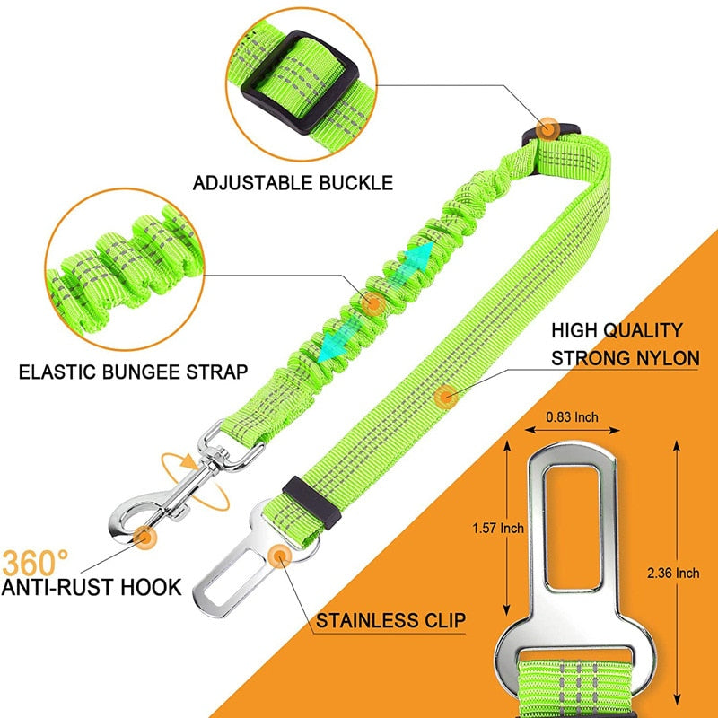 Car Seat Belt