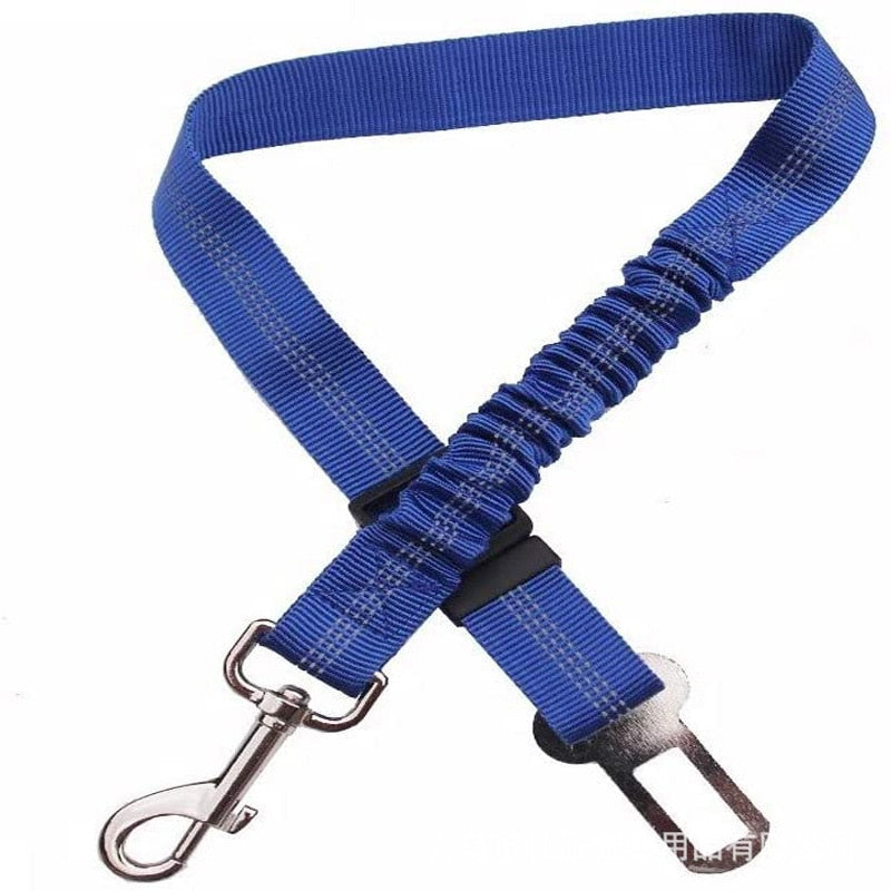Car Seat Belt
