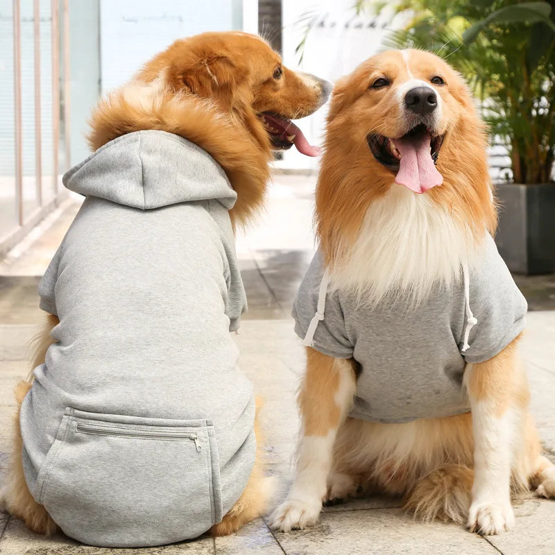 Cool Canine