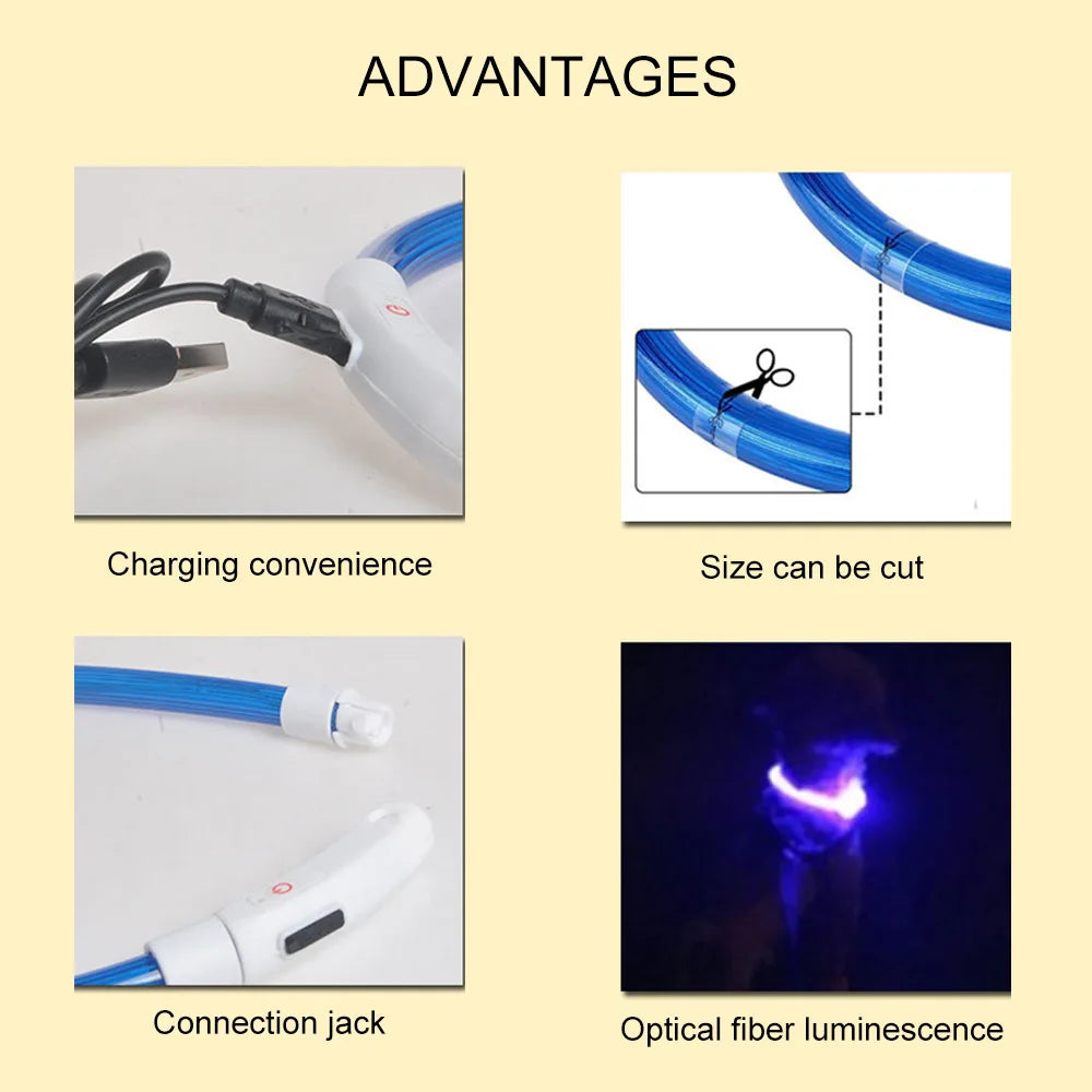 Luminous Dog Collar