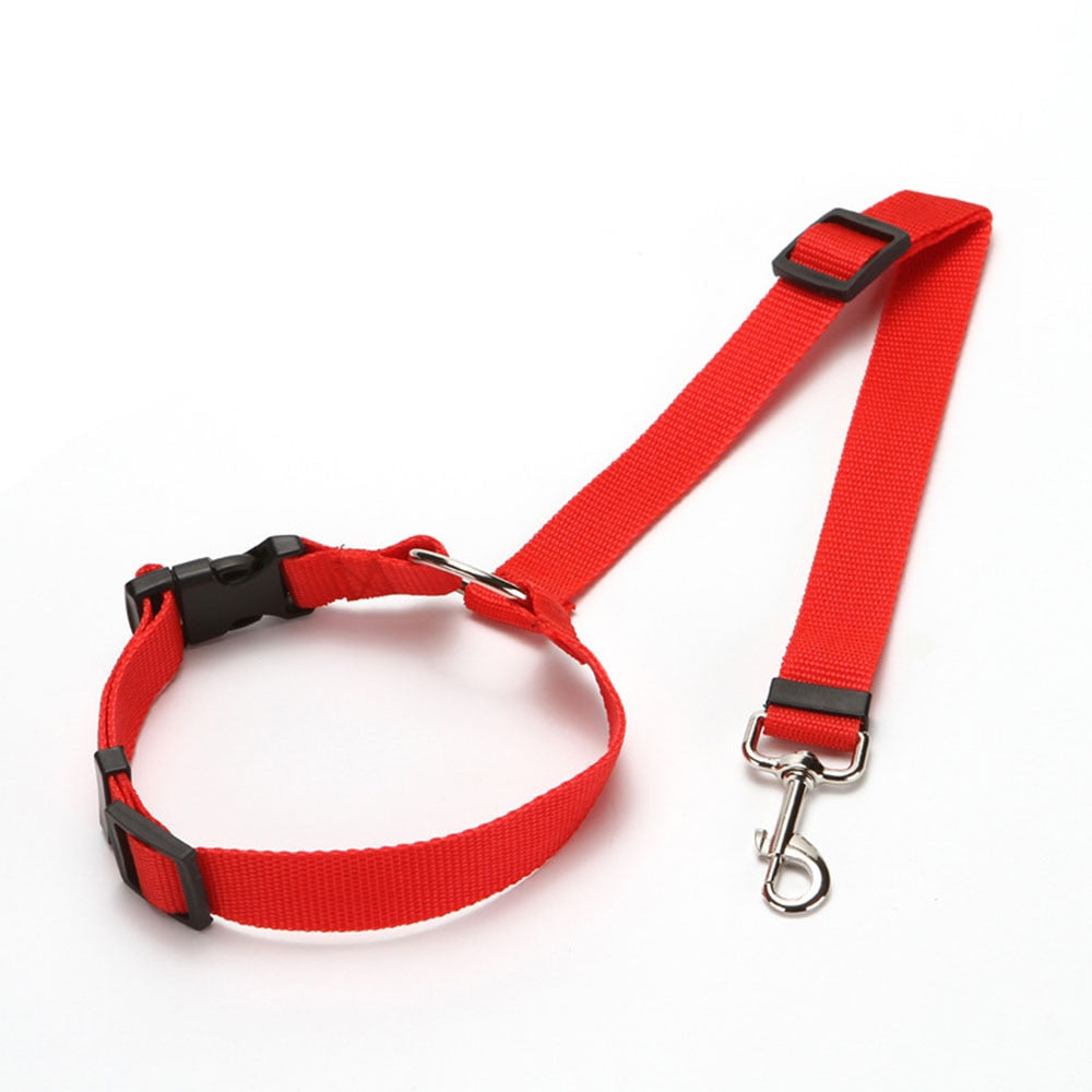 Car Seat Belt