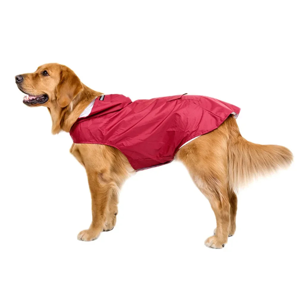 Dry Shield