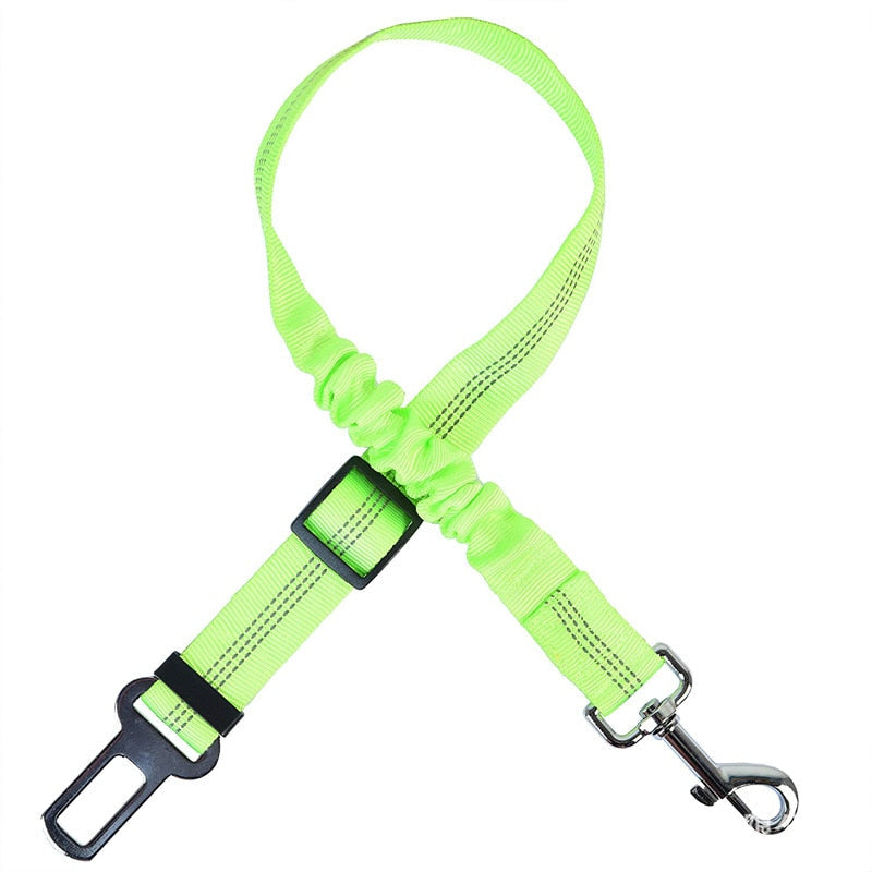 Car Seat Belt