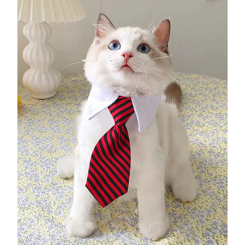 Dapper