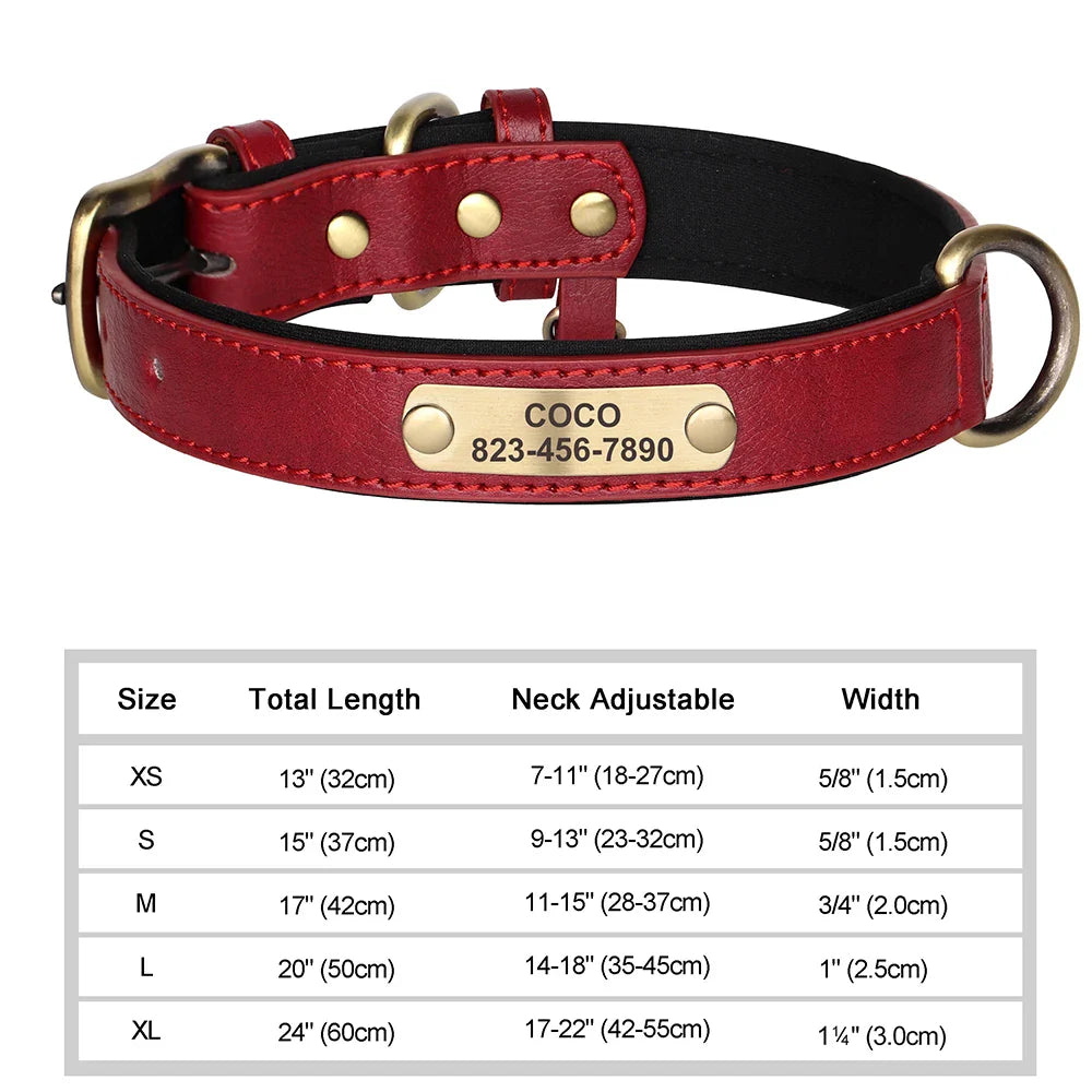 Talk of the Town Tag Collar