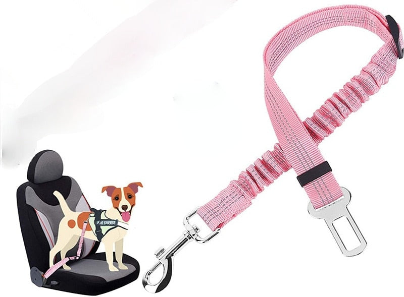 Car Seat Belt