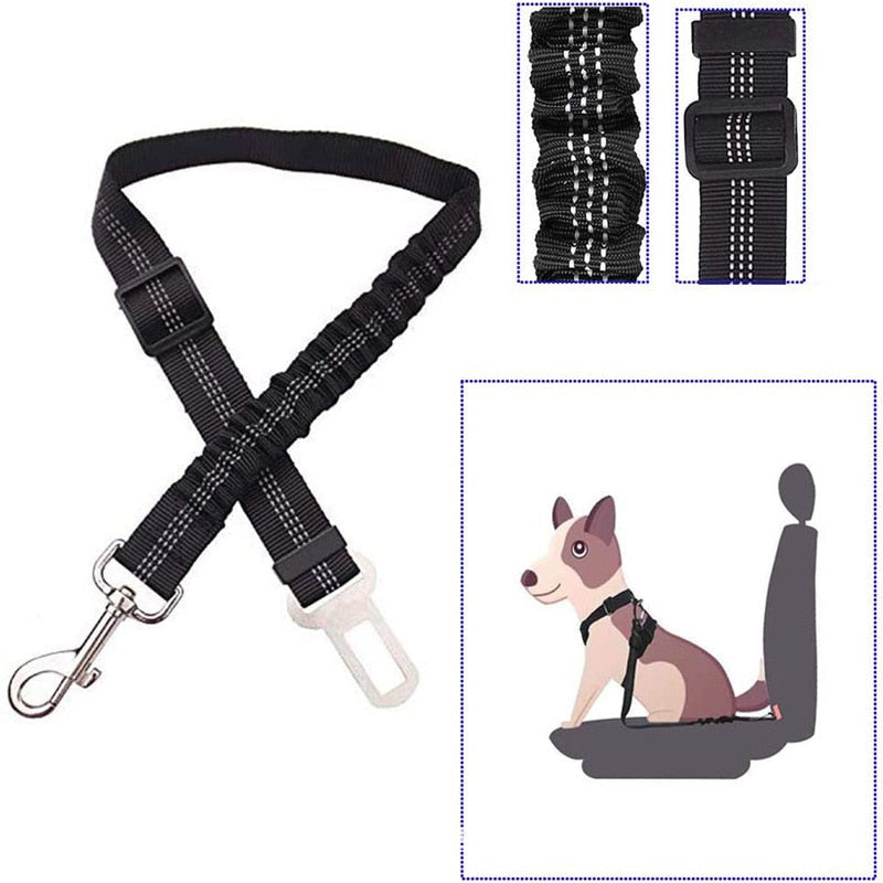 Car Seat Belt