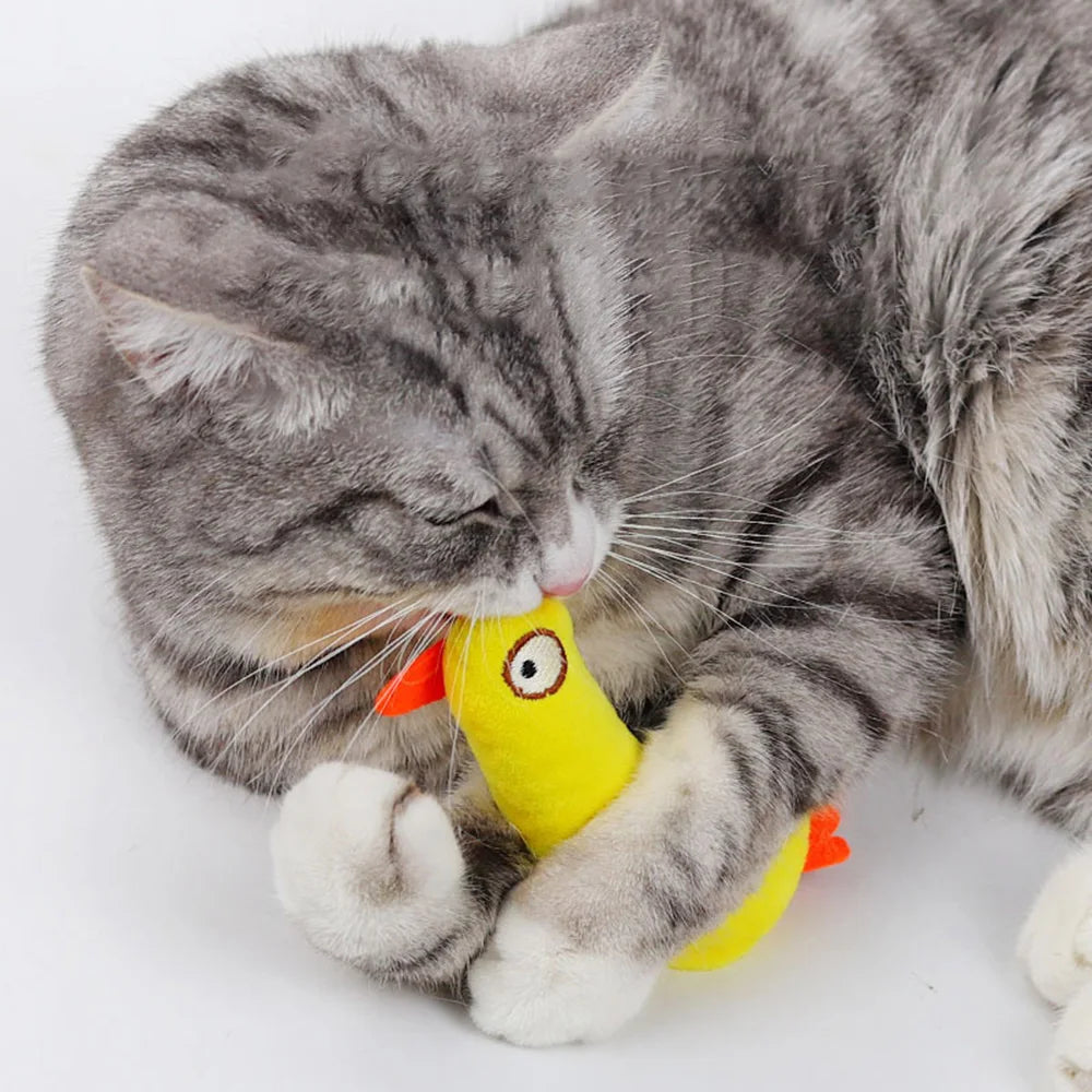 Plush Toys (Gift)