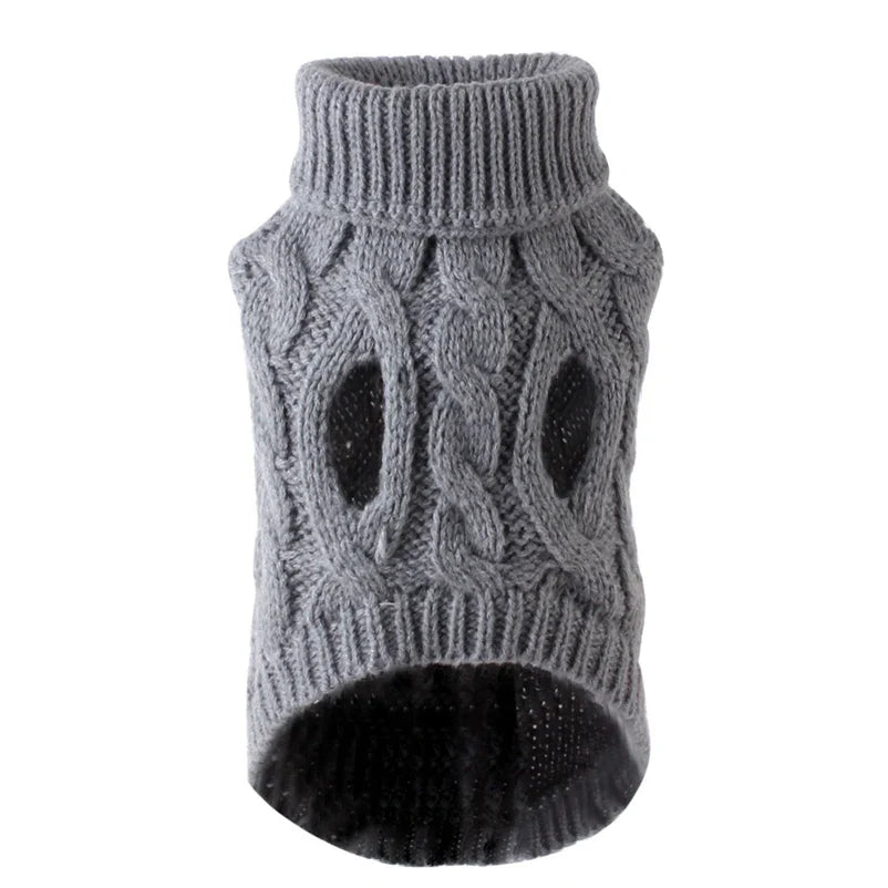 Purrfectly Petite in a Sweater