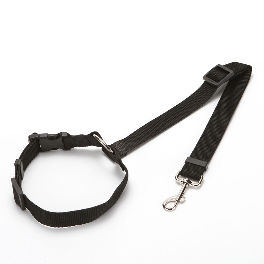 Car Seat Belt