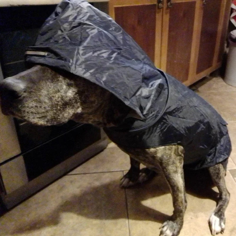 Dry Shield