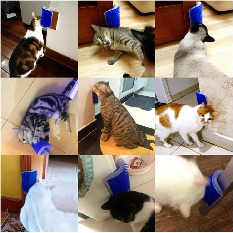 The Kitty Kabob