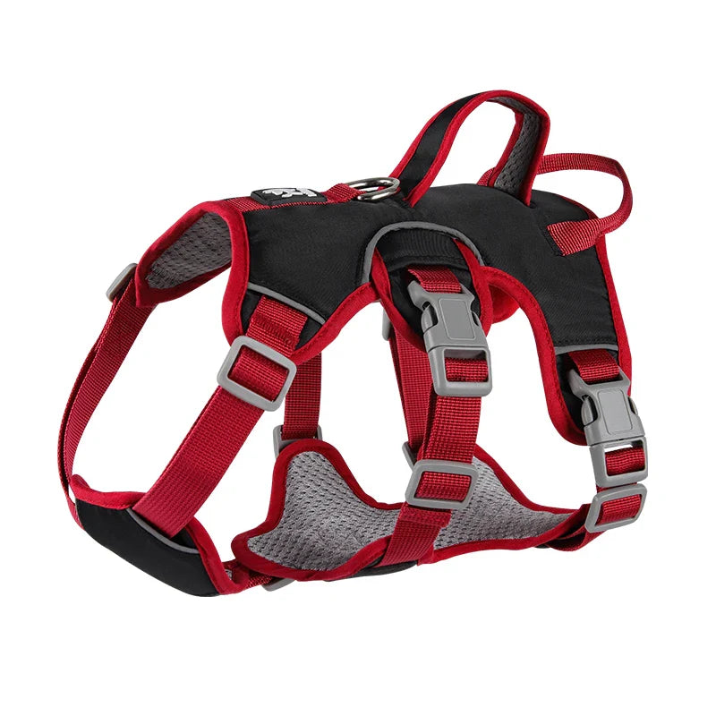 Reflective Harness
