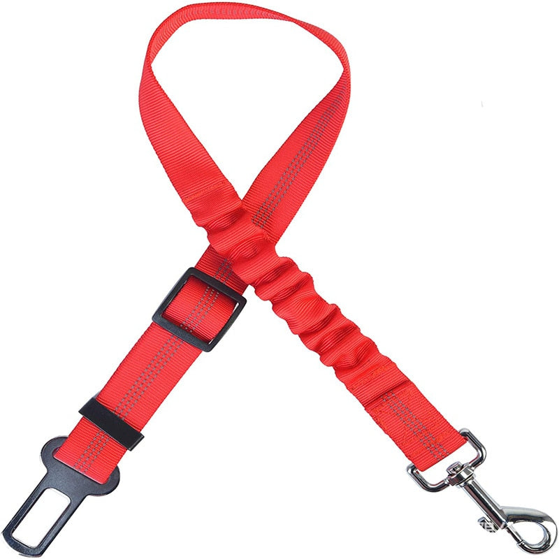 Car Seat Belt