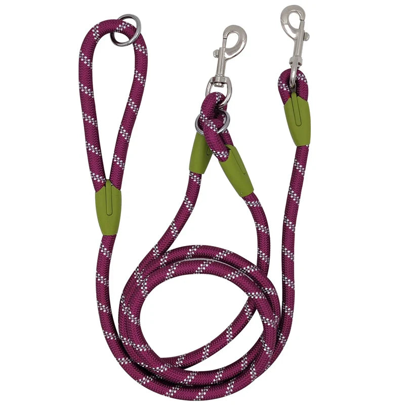 Shine & Stride Leashes