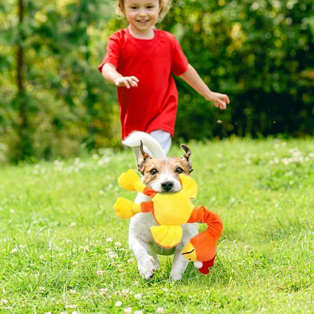 Chicken Toy