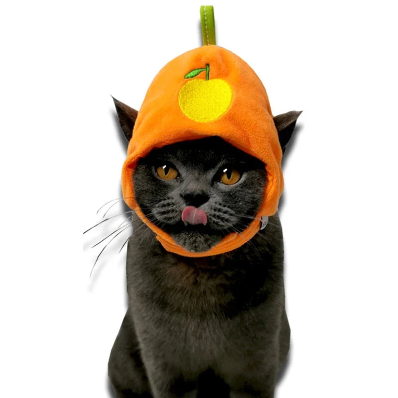 Tutti Frutti Fashion