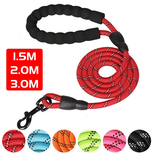RIO Leash