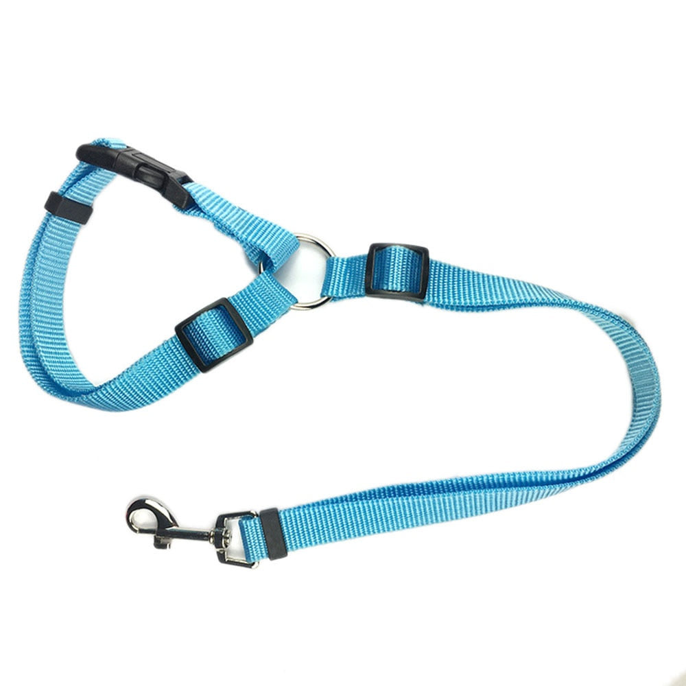 Car Seat Belt