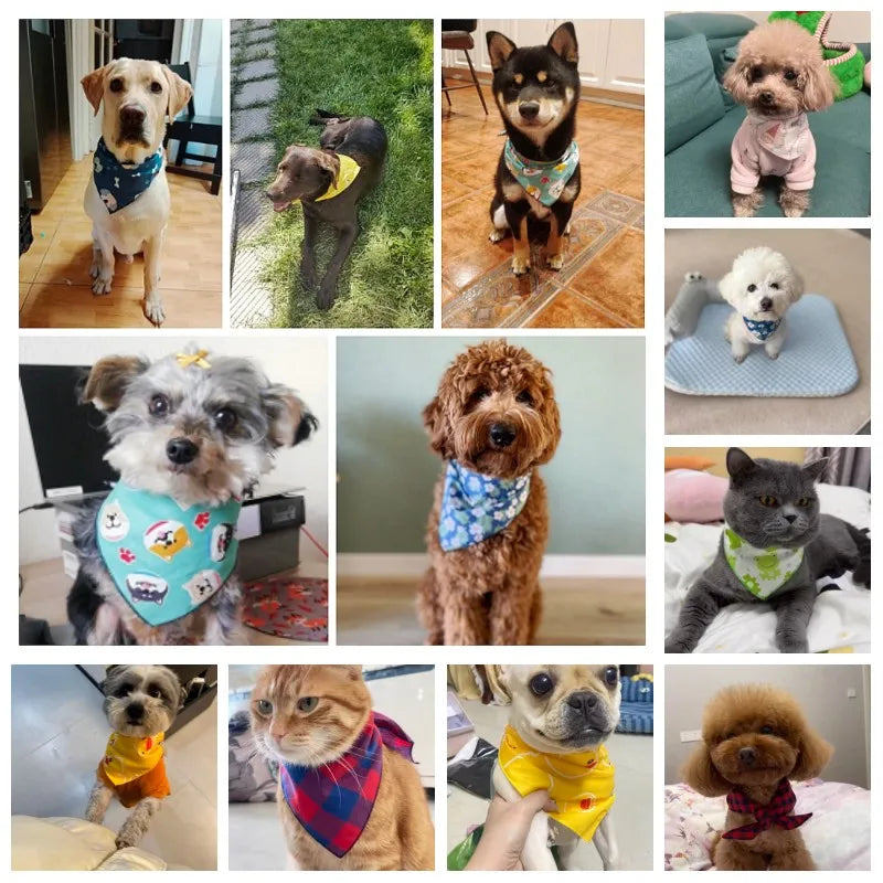 Huckleberry Bandanas