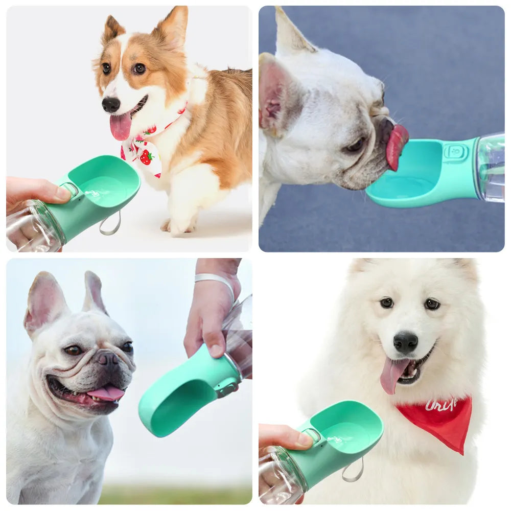 Petrichor Bottle