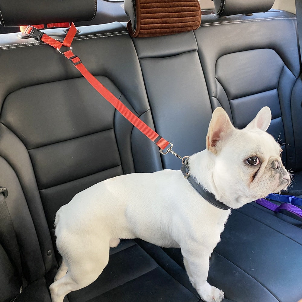 Car Seat Belt