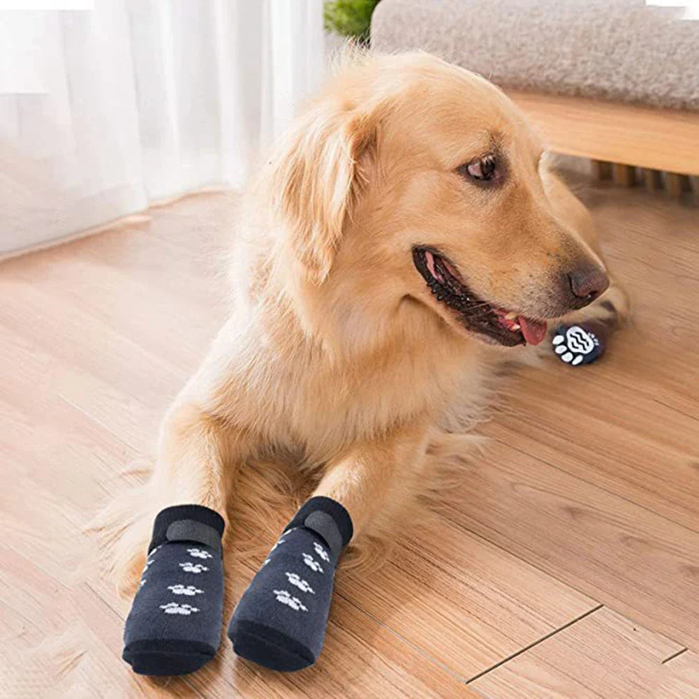 Dogy Socks