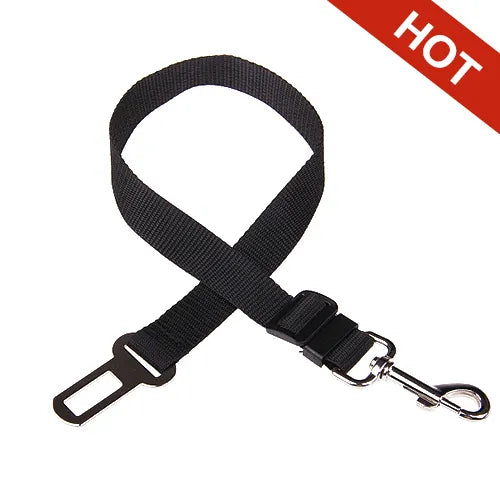 Dunk Belt