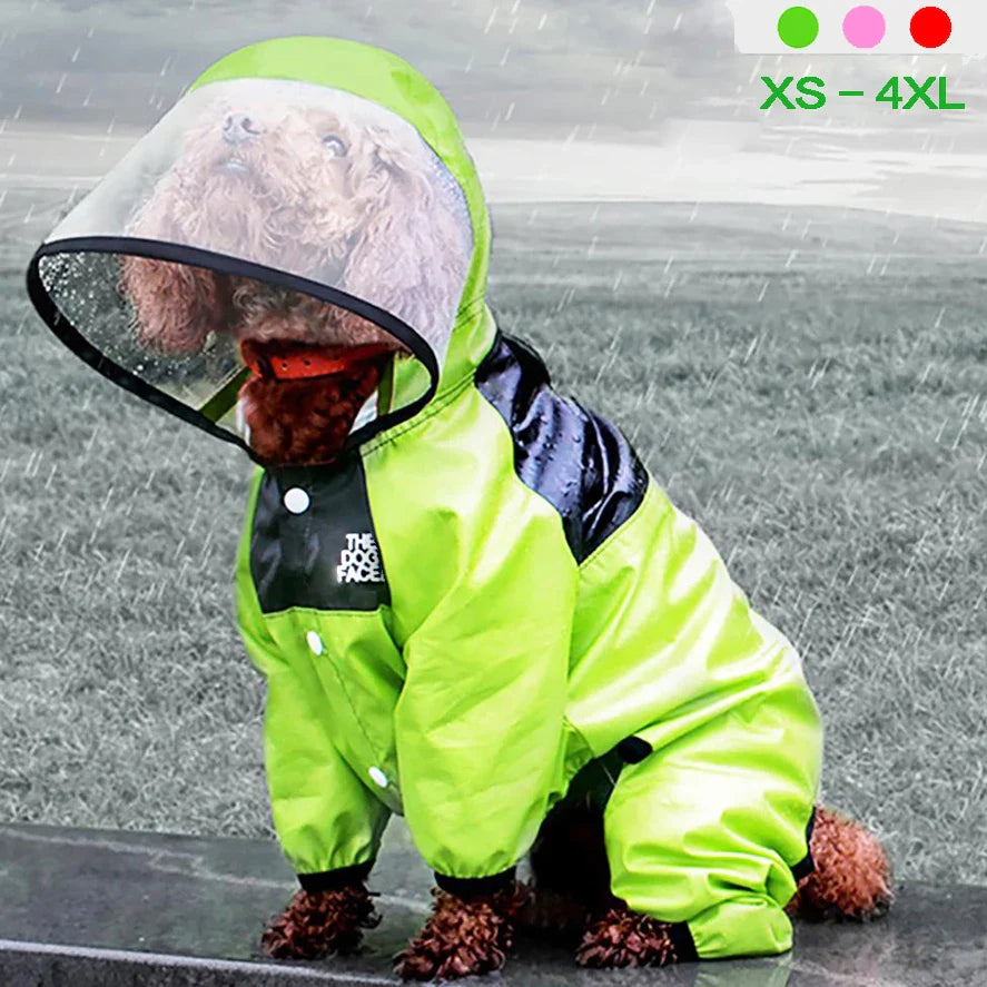 Weather Warrior