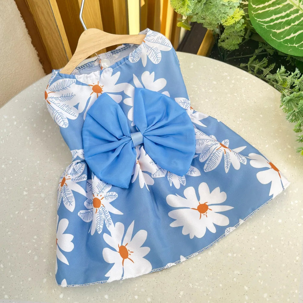 Princess Dress