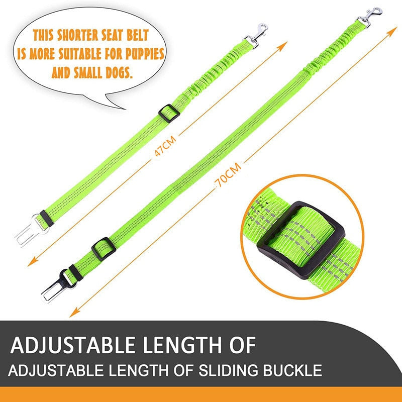 Car Seat Belt